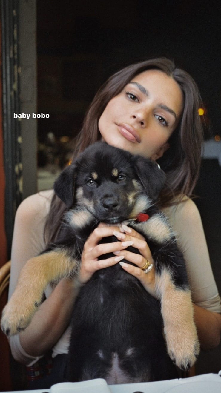 Emily Ratajkowski Emily Ratajkowski
