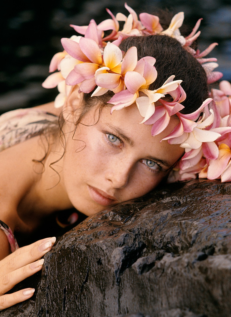 Dayle Haddon