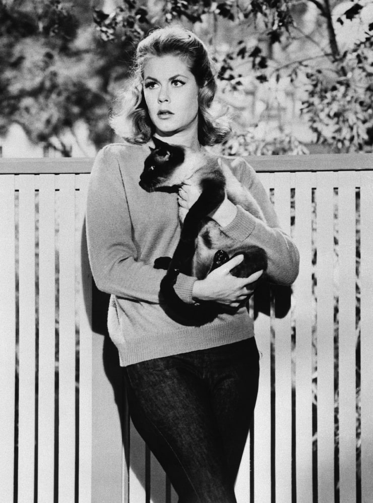 Elizabeth Montgomery