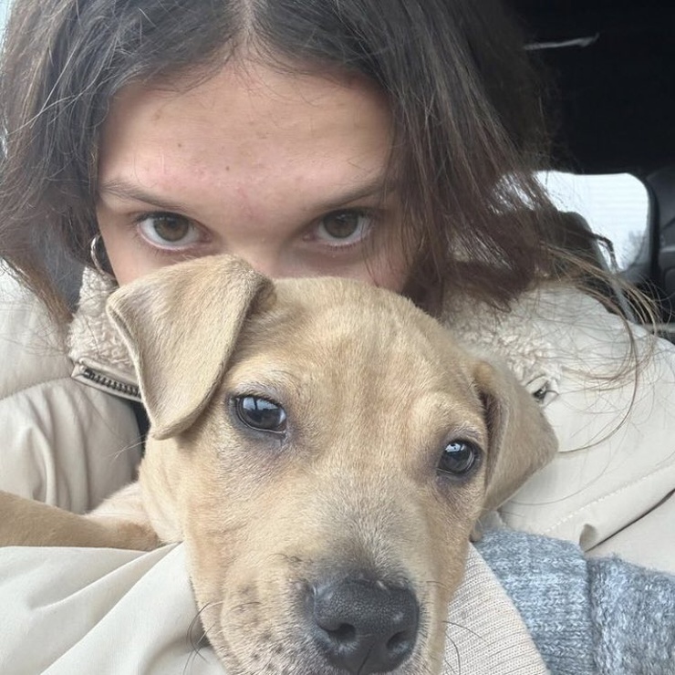 Millie Bobby Brown Millie Bobby Brown