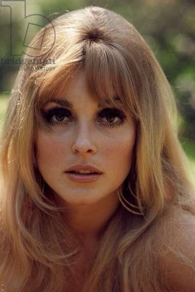 Sharon Tate