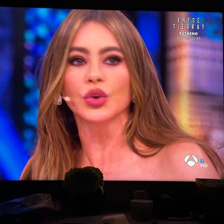 Picture of Sofía Vergara