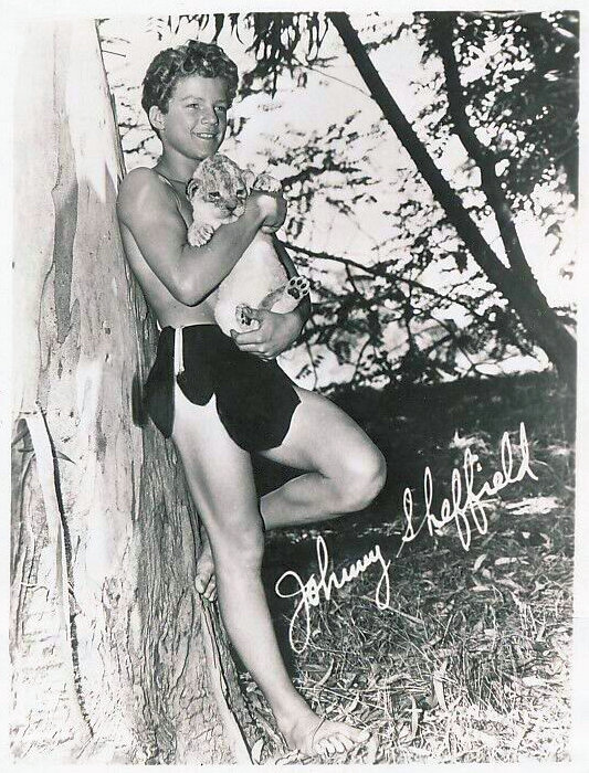 Johnny Sheffield