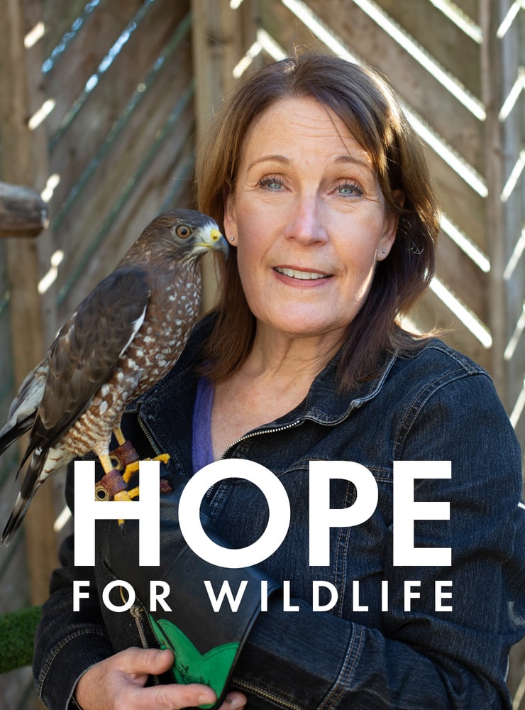 Hope for Wildlife
