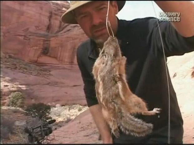 Les Stroud