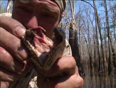 Les Stroud