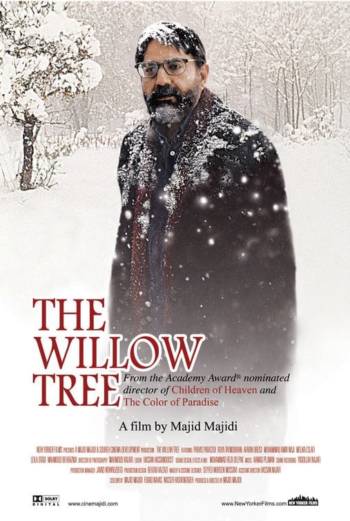 The Willow Tree (2005)