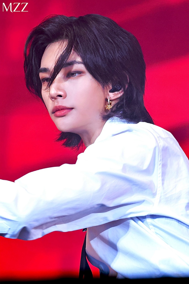 Hyun-Jin Hwang