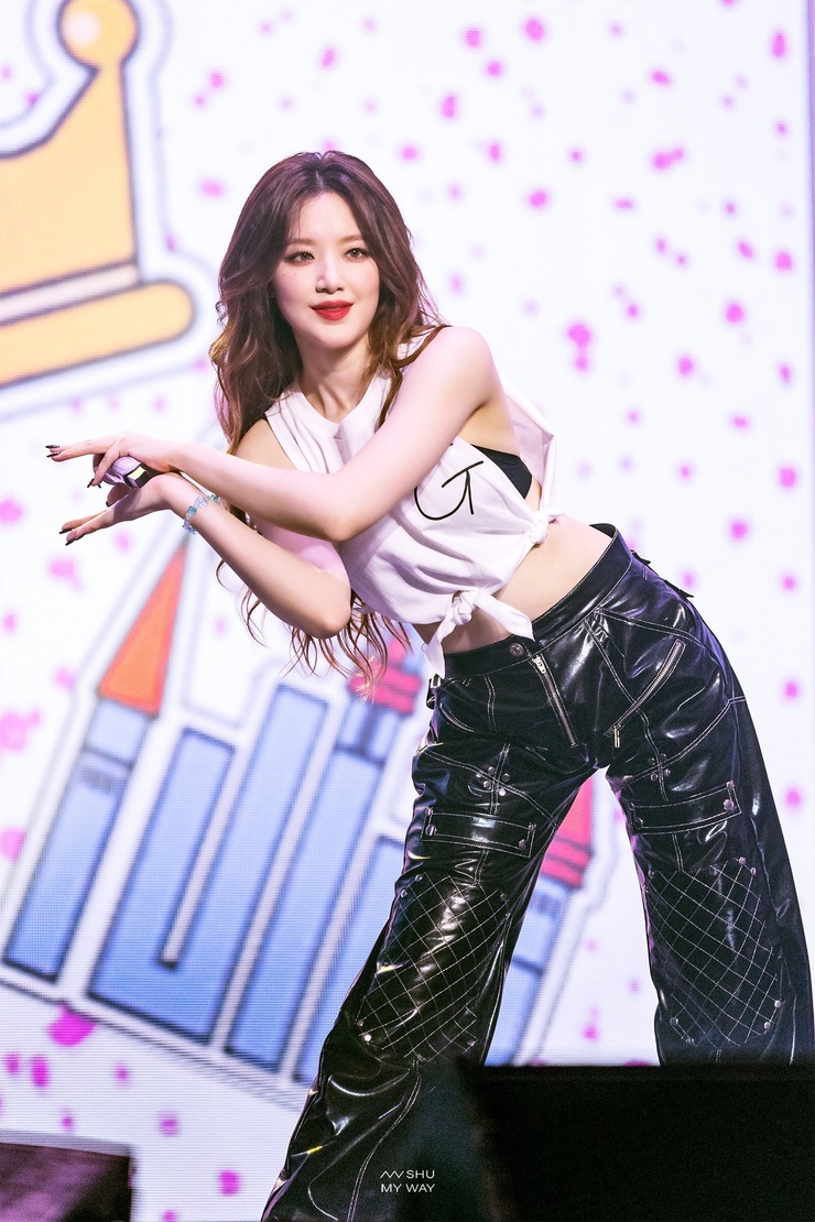 Yeh Shu Hua