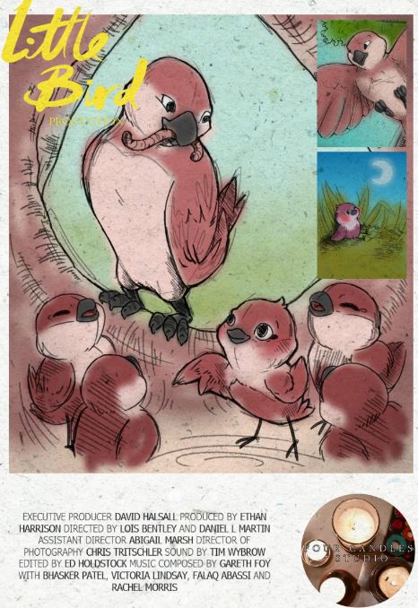 Little Bird