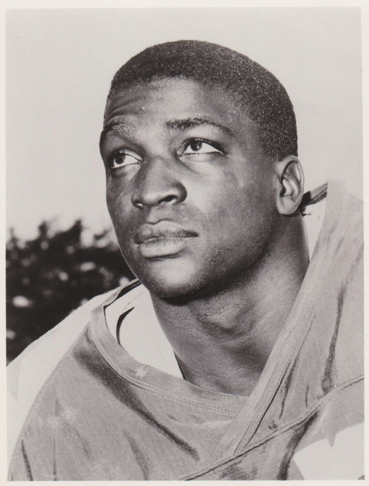 Don Perkins