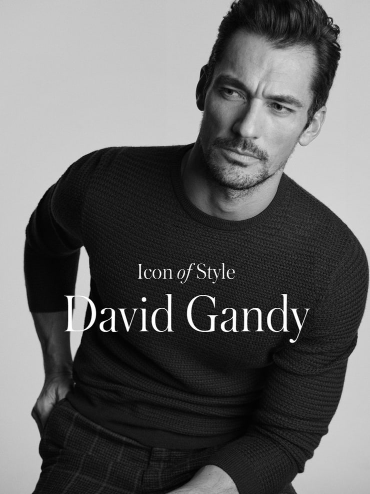 David Gandy