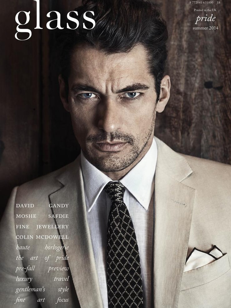 David Gandy