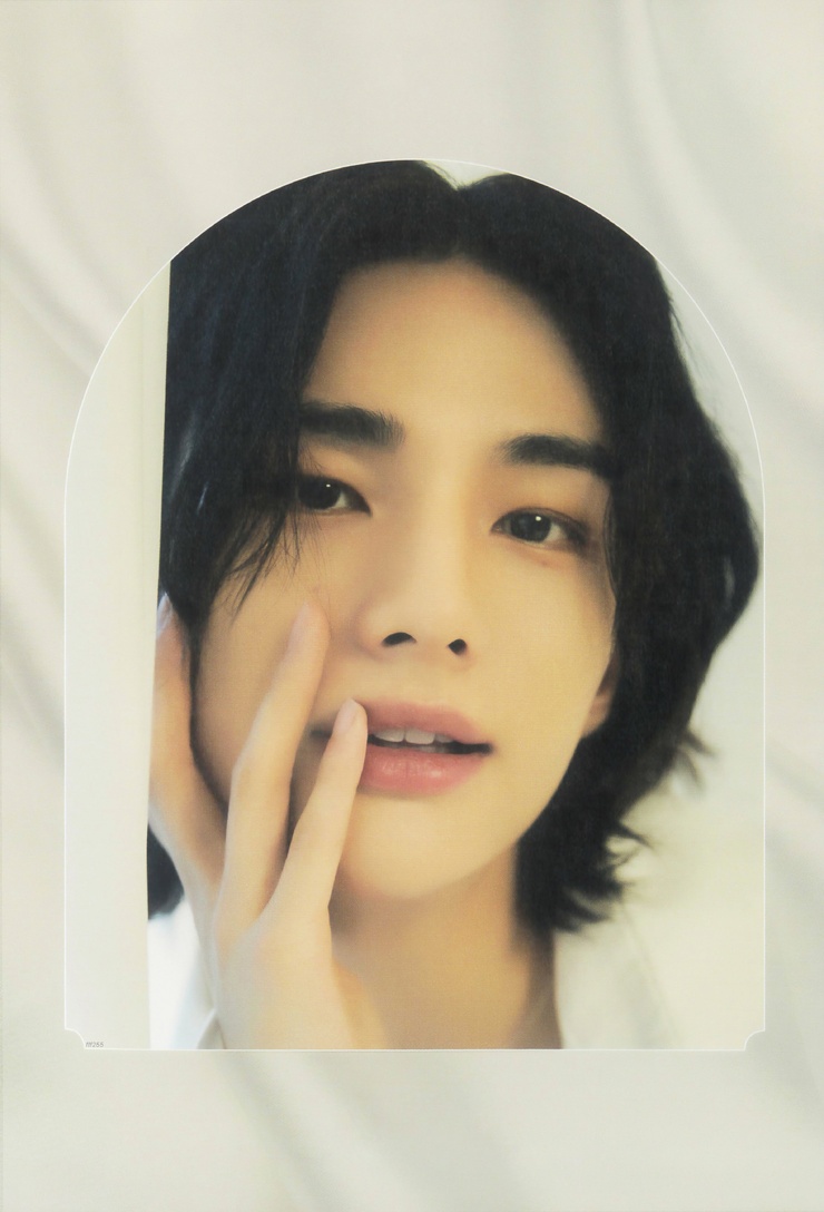 Hyun-Jin Hwang