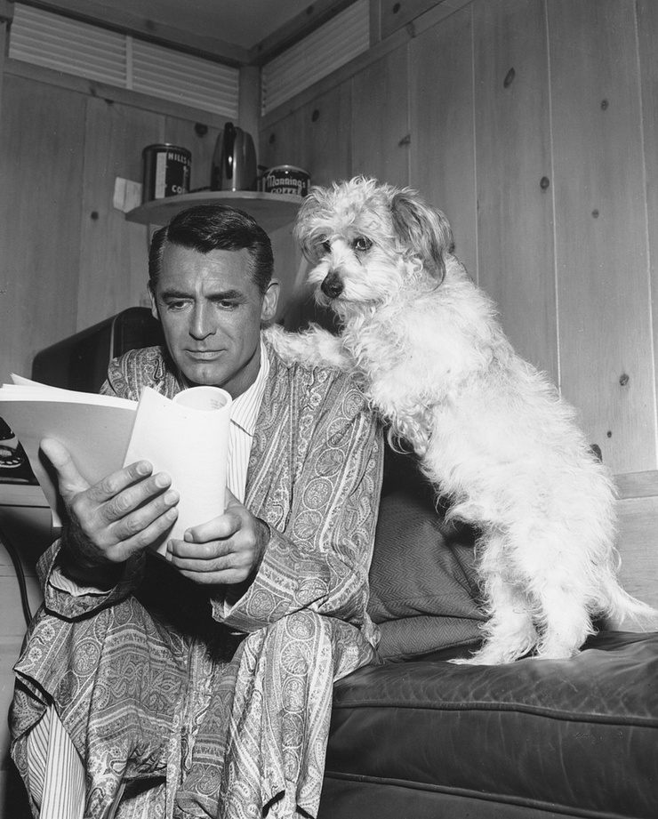 Cary Grant