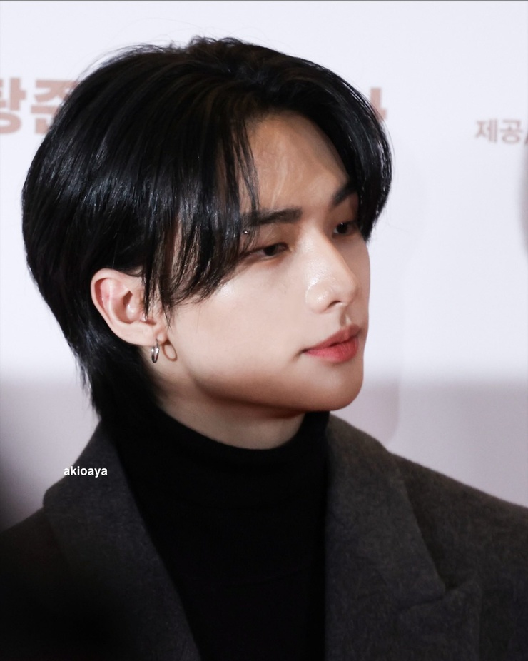 Hyun-Jin Hwang