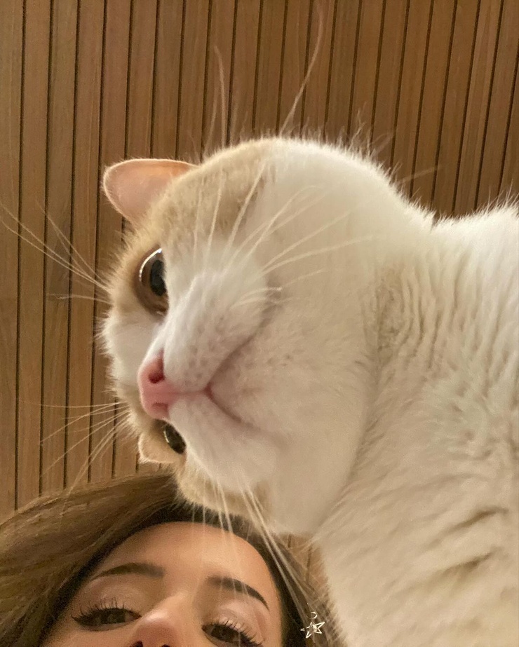 Pokimane