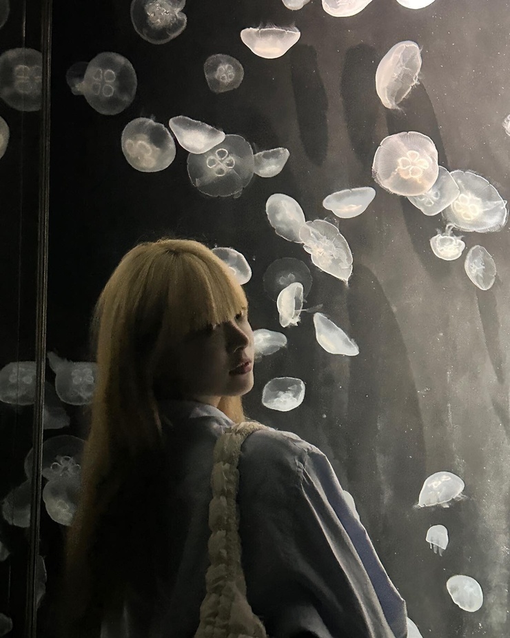 Eun-chae Hong