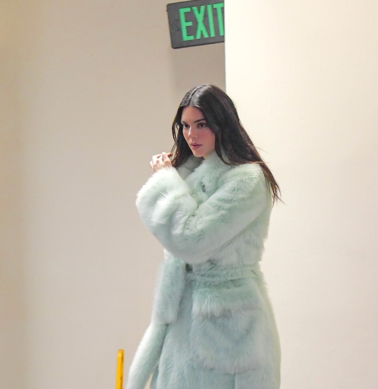 Kendall Jenner