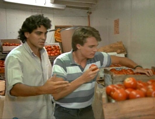 Return of the Killer Tomatoes!