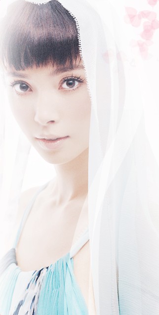 Bingbing Li Bingbing Li