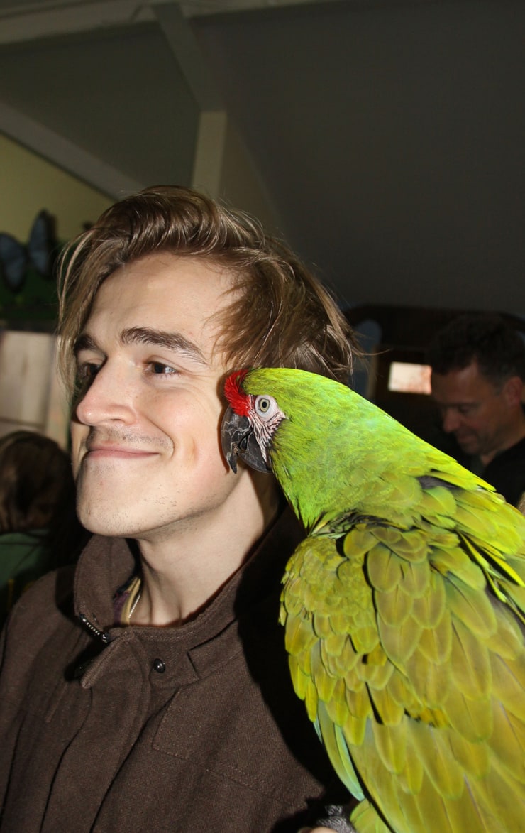 Tom Fletcher