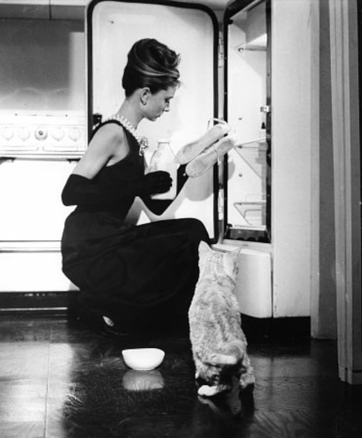 Audrey Hepburn