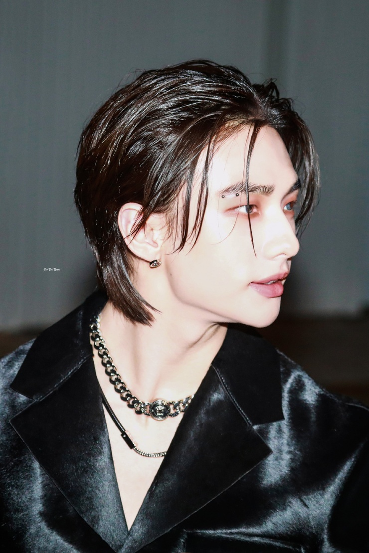 Hyun-Jin Hwang