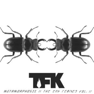 Metamorphosiz ll The End Remixes Vol. I & II