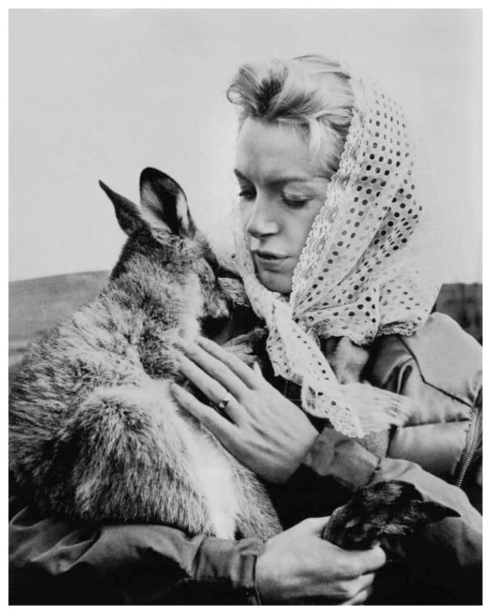Deborah Kerr Deborah Kerr