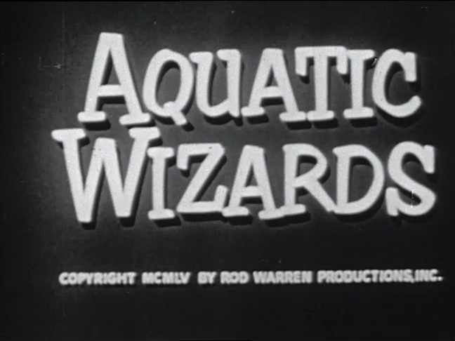 Aquatic Wizards