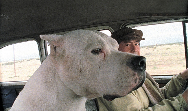 Bombón: El Perro Bombón: El Perro