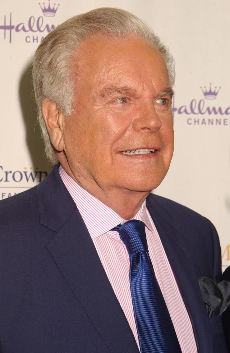 Picture of Robert Wagner