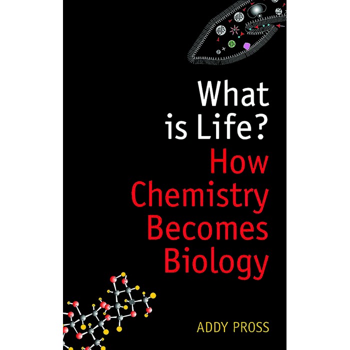 What is Life?: How Chemistry Becomes Biology