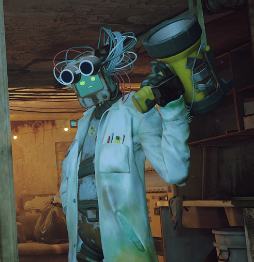 Doc (Stray)