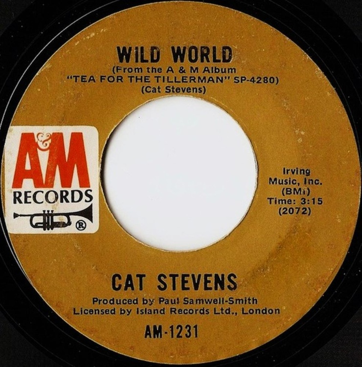Cat Stevens
