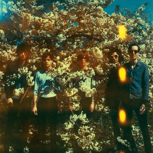 The Horrors
