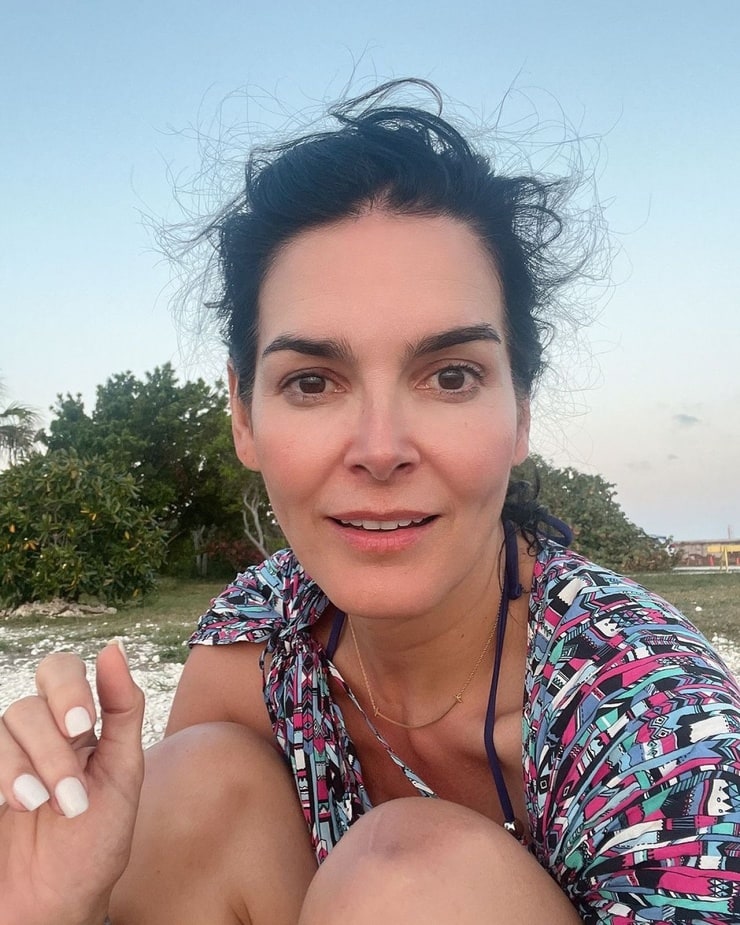 Angie Harmon