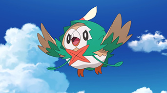 Ash's Rowlet