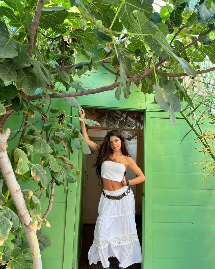 Nour Ardakani
