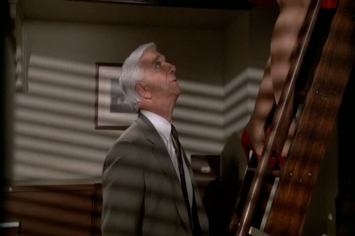 The Naked Gun: From the Files of Police Squad!