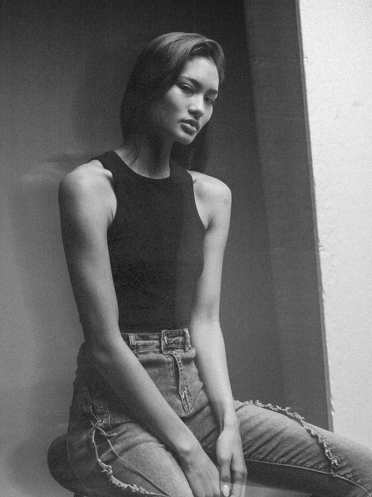 Sahara Model