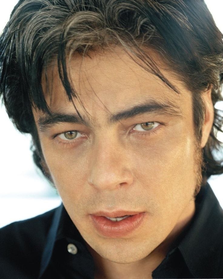 Benicio Del Toro