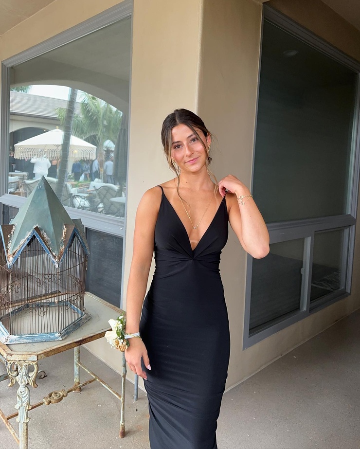 Meena Shahri picture