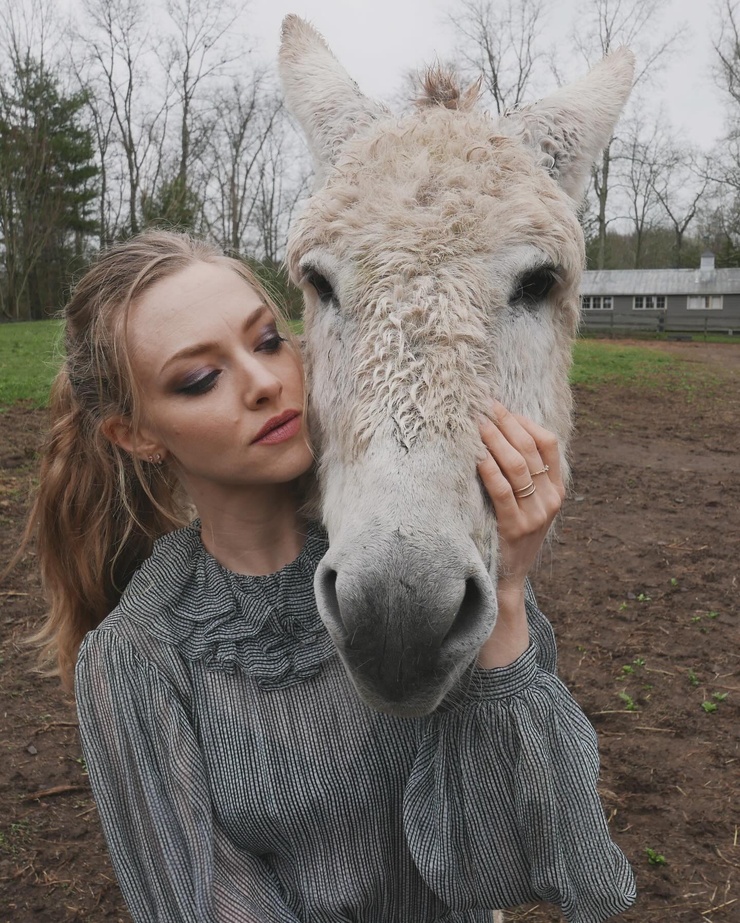 Amanda Seyfried