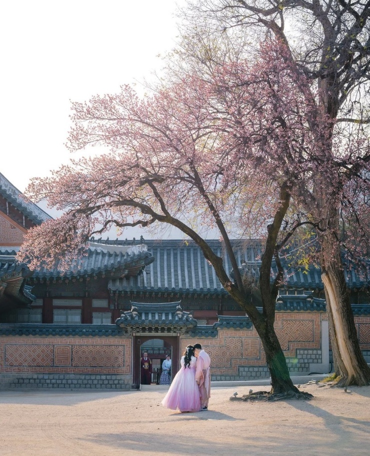 South Korea South Korea