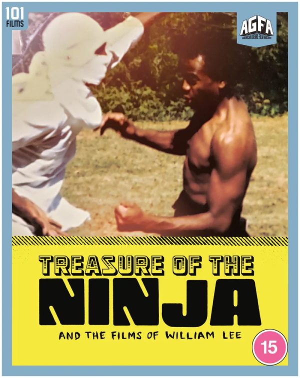 Treasure of the Ninja