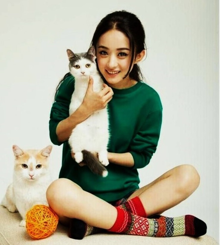 Liying Zhao
