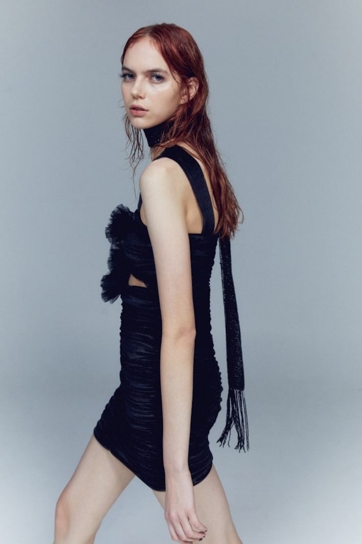 Eszter Gal Eszter Gal