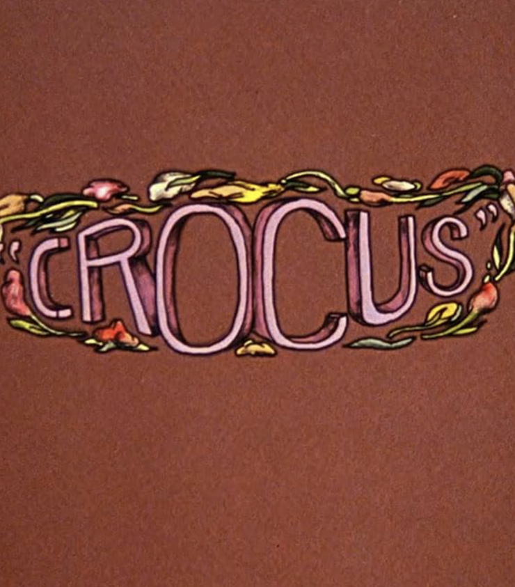 Crocus